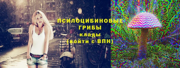 твердый Кулебаки