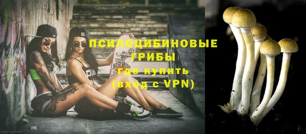 экстази Лагань