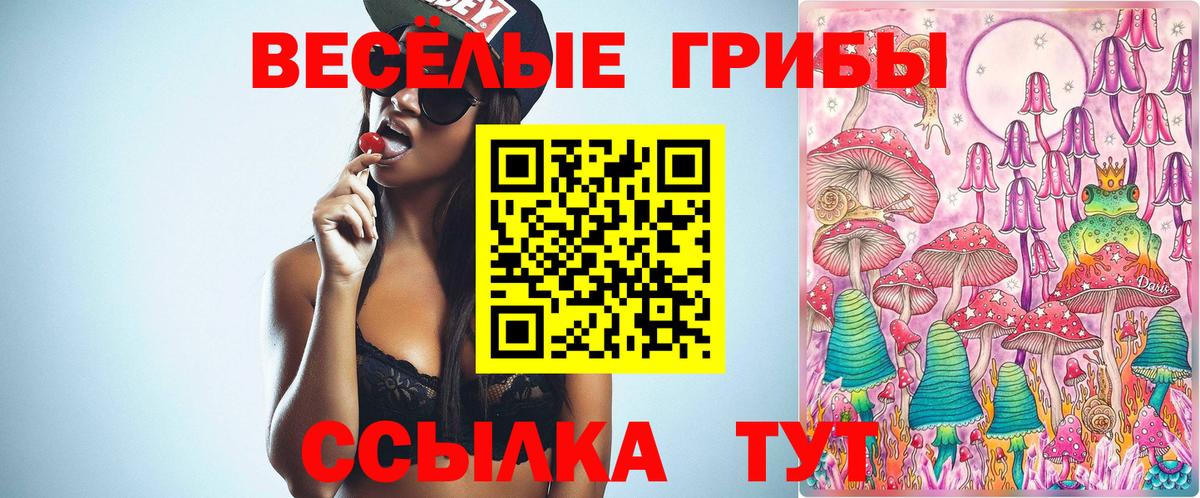 Галлюциногенные грибы GOLDEN TEACHER  Вход с VPN  Галлюциногенные грибы GOLDEN TEACHER  Электросталь 